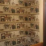 Tatil Evi Vicino Cabinovia Magnolta E Piscina *