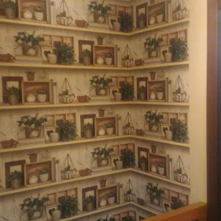 Tatil Evi Vicino Cabinovia Magnolta E Piscina *